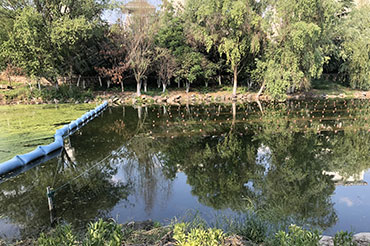 自然河道消除黑臭-江蘇省鎮(zhèn)江市潤(rùn)州區(qū)頭道河北段