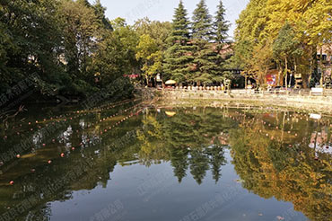 景觀(guān)水體水質(zhì)提升-貴州省貴陽(yáng)市花溪板橋藝術(shù)村#水塘