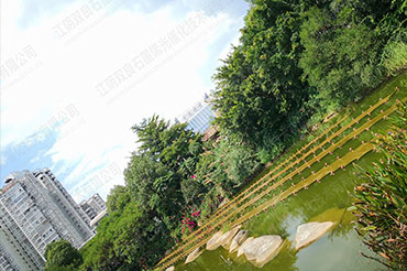景觀(guān)水體水質(zhì)提升-福建省龍巖市石鑼鼓濕地公園
