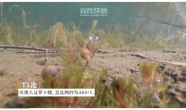 保護(hù)生物多樣性雙良環(huán)境在行動(dòng)！