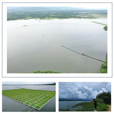 長沙市后湖：徹底消除黑臭，實現(xiàn)“長治久清”