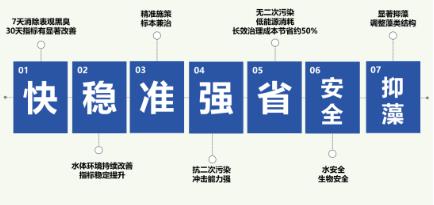 新聞轉載｜助力水環(huán)境治理與修復——龍涓鄉(xiāng)開展“學雷鋒”暨河道凈灘志愿服務活動