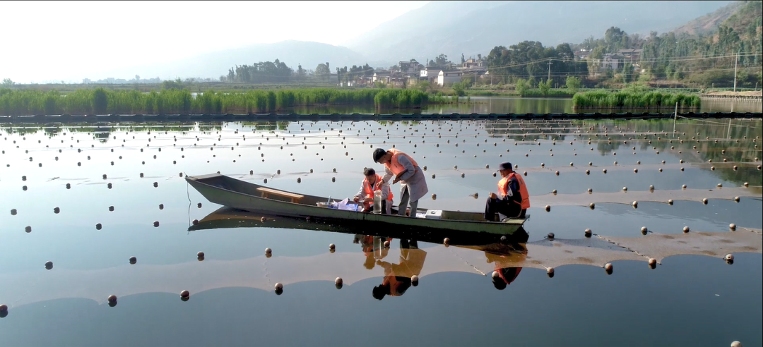 巡河并調(diào)研病險(xiǎn)水庫(kù)、農(nóng)村污水治理工程