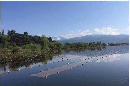 湖北“黑科技”將湖泊水庫污水就地變清流，雙良值得推廣