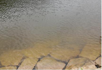 資陽(yáng)重拳整治老鷹水庫(kù)非法垂釣，擬立法保護(hù)飲用水源