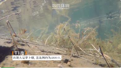福建省人民政府關(guān)于報(bào)送12月份飲用水水源地環(huán)境問題清理整治進(jìn)展情況的函