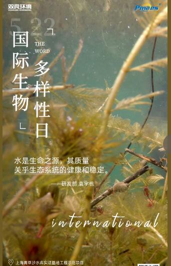 5.22生物多樣性日｜共護(hù)碧水清波，共建和諧生態(tài)！