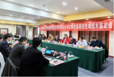 國(guó)際先進(jìn)！雙良環(huán)境這項(xiàng)首創(chuàng)技術(shù)通過(guò)專(zhuān)家權(quán)威鑒定